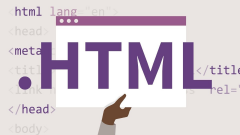 网页美工要不要学习HTML？